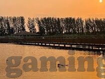 比分网球探足球即时比分-比分网球探，足球即时比分的数据雷达，让观赛体验焕然一新